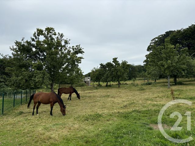 maison à vendre - 5 pièces - 187.0 m2 - CHANU - 61 - BASSE-NORMANDIE - Century 21 Agence Pays D'Andaines