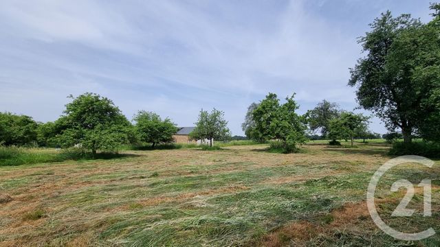 maison à vendre - 7 pièces - 138.0 m2 - LONLAY L ABBAYE - 61 - BASSE-NORMANDIE - Century 21 Agence Pays D'Andaines