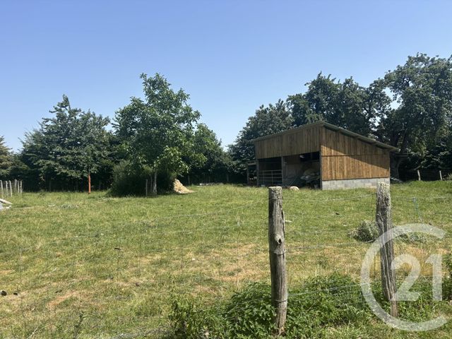 maison à vendre - 8 pièces - 238.47 m2 - TORCHAMP - 61 - BASSE-NORMANDIE - Century 21 Agence Pays D'Andaines